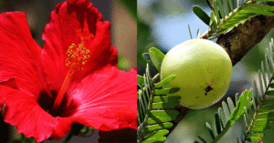 Natural Hair Care After 40 – What Truly Works & What to Avoid