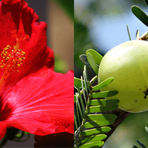 Natural Hair Care After 40 – What Truly Works & What to Avoid